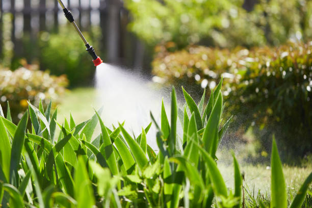 24/7 Emergency Mosquito Control experts in Garwood, NJ