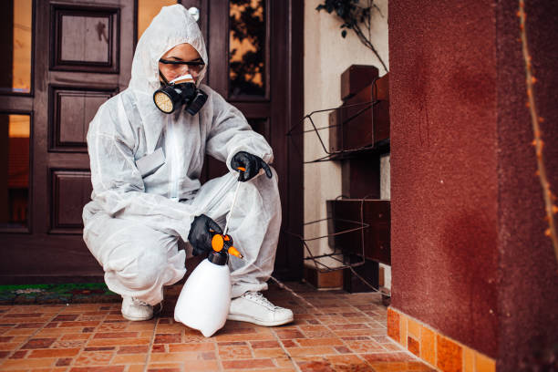 Reliable Mosquito Control contractor in Garwood, NJ by Show Me Pest Control